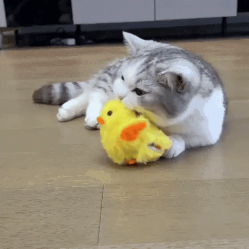 Flapping Quackmate Duck™