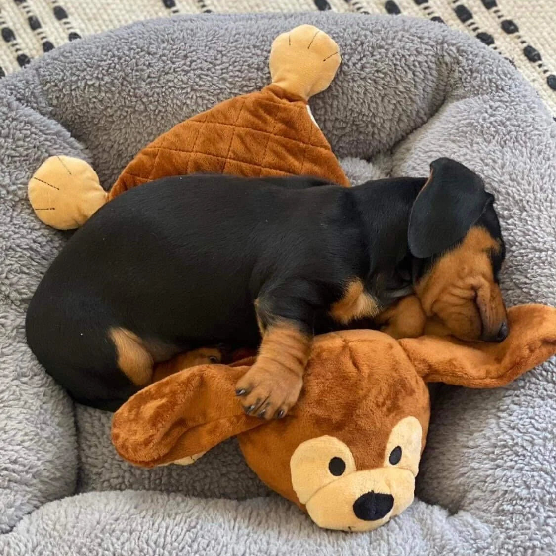 Ultimate Puppy Comforter™